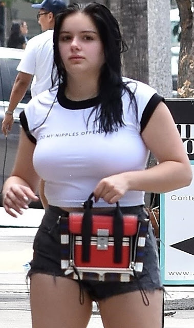 Do My Nipples Offend You shirt as worn by Ariel Winter. PYGear.com